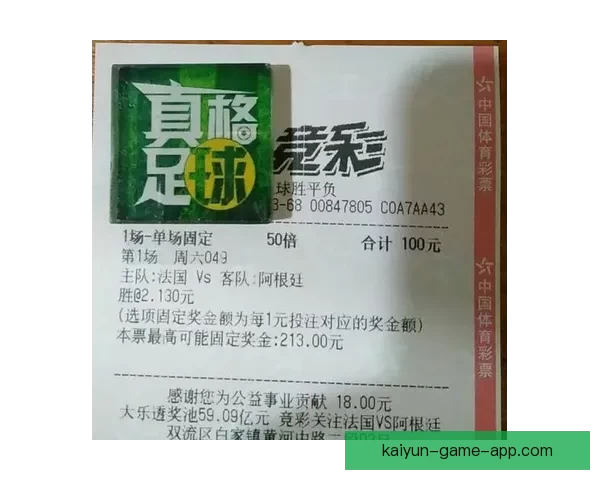 世界杯竞猜网站全攻略新手入门投注技巧与赛事预测深度解析指南